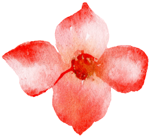 Red Watercolor Hand Painted Flowers Transparent - Watercolor Painting (1024x1024), Png Download