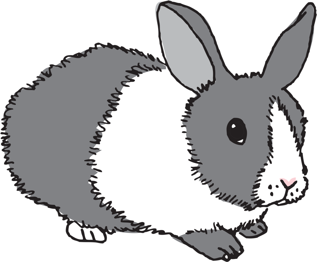 Bunny - Tattly (2048x2048), Png Download