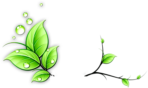 Vines Transparent Png Pictures Free Icons And Png - Green Vine Png (502x301), Png Download