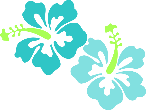 Botanical Illustration 'coral Hibiscus' Flower Clipart - Hawaiian Flowers Transparent Background (600x455), Png Download