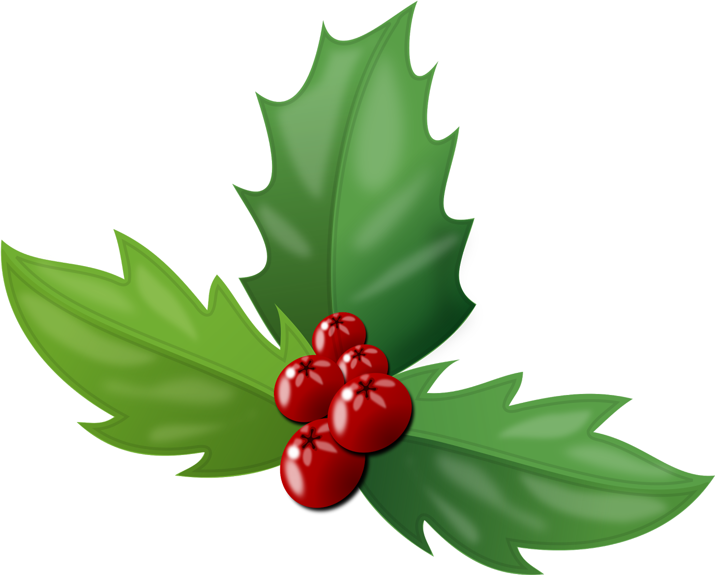 The Holly Is An Evergreen Plant Baring Bright Red Berries - Holly Berries (1600x1284), Png Download