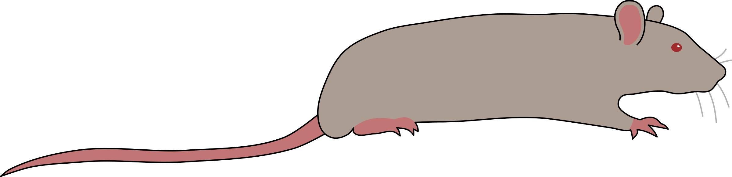 This Free Icons Png Design Of Rat By Rones (2400x583), Png Download