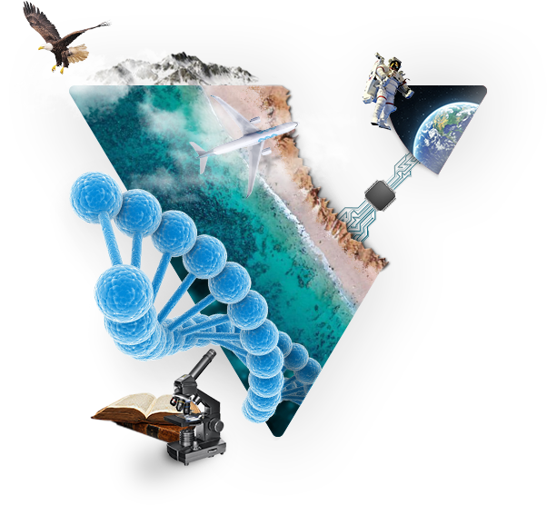 Veruscript Multi-disciplines Journals - Veruscript (602x556), Png Download