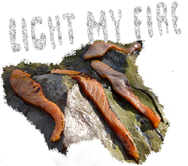 De Gauche À Droite, - Carrot (411x404), Png Download