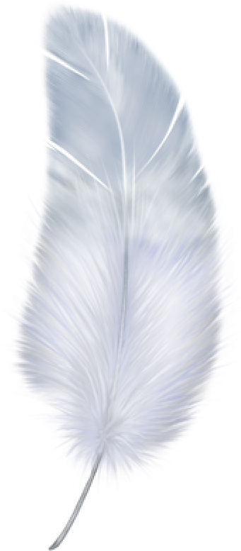 Feather Png - Portable Network Graphics (300x441), Png Download