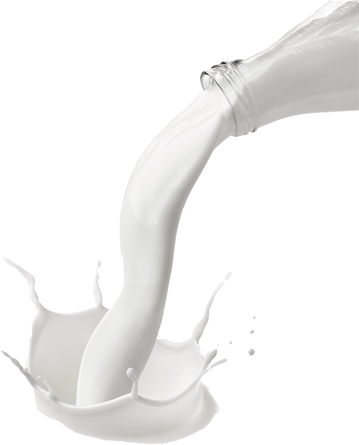 Still Life Photography (810x900), Png Download