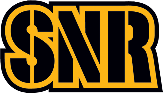 Blurred Steelers Nation Radio Logo - Listen To Steelers Game Radio (600x600), Png Download