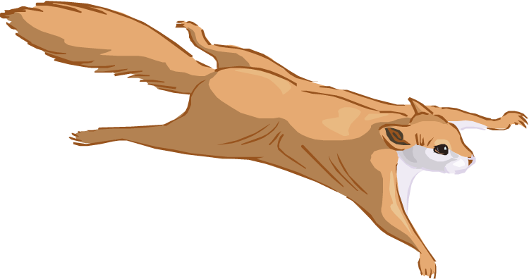 Flying Squirrel Clipart - Flying Squirrel Cartoon Png (750x396), Png Download