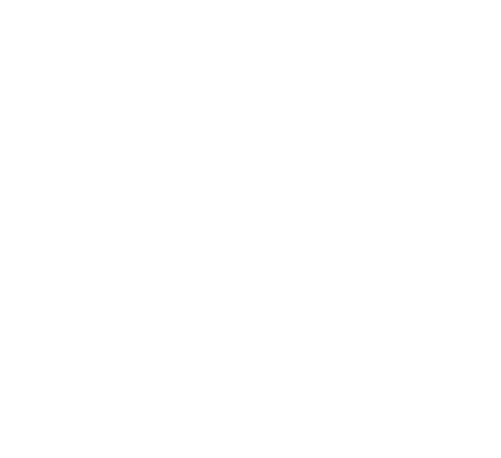 Wwe - Wwe Network Logo 2016 (500x502), Png Download