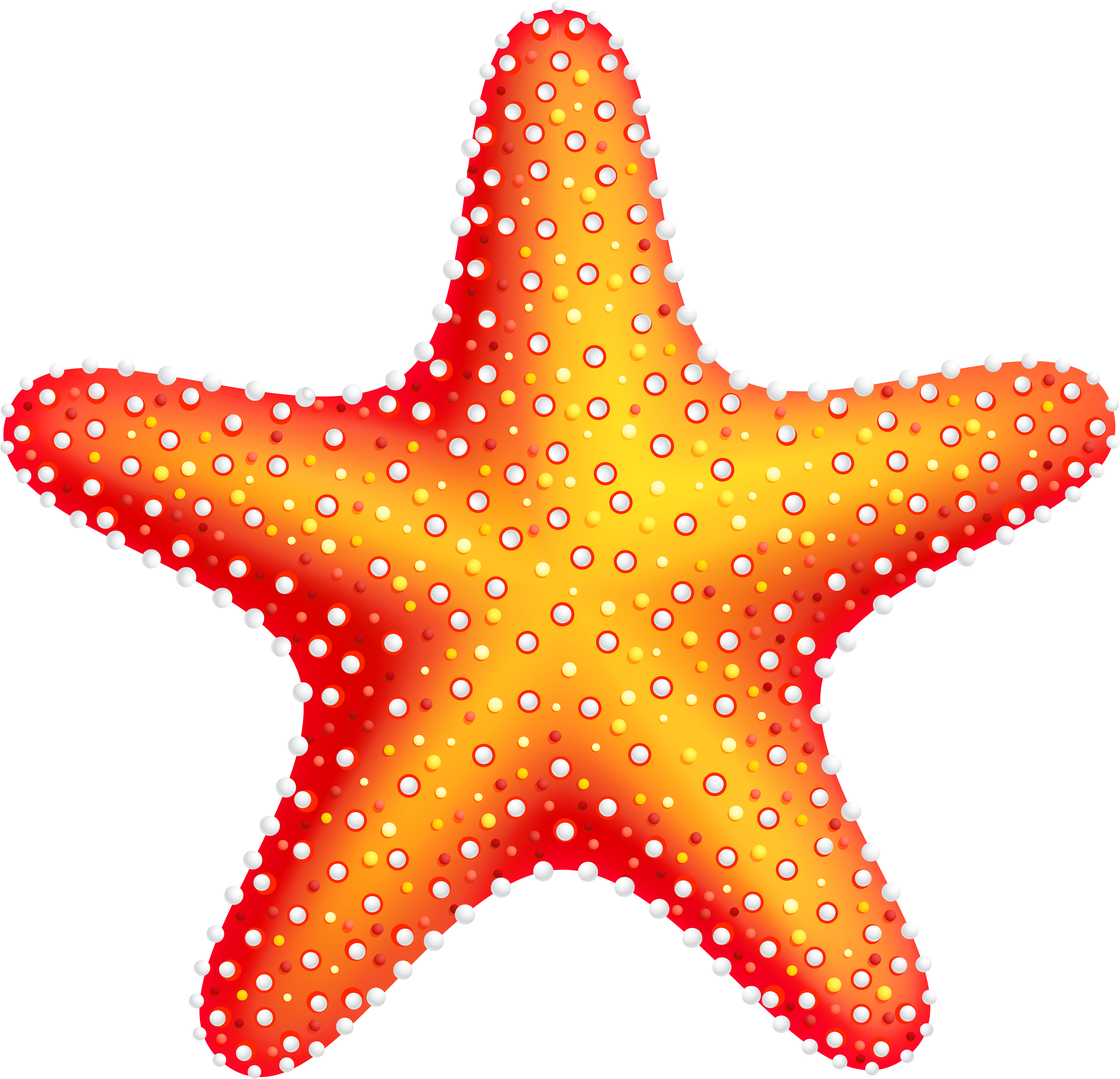 Starfish Png Clip Art - Starfish Clipart (500x481), Png Download