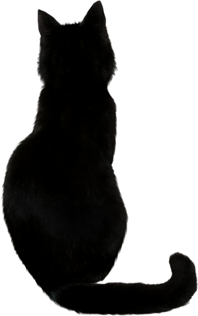 Black Cat Png Photos - Back Of A Black Cat (643x1024), Png Download