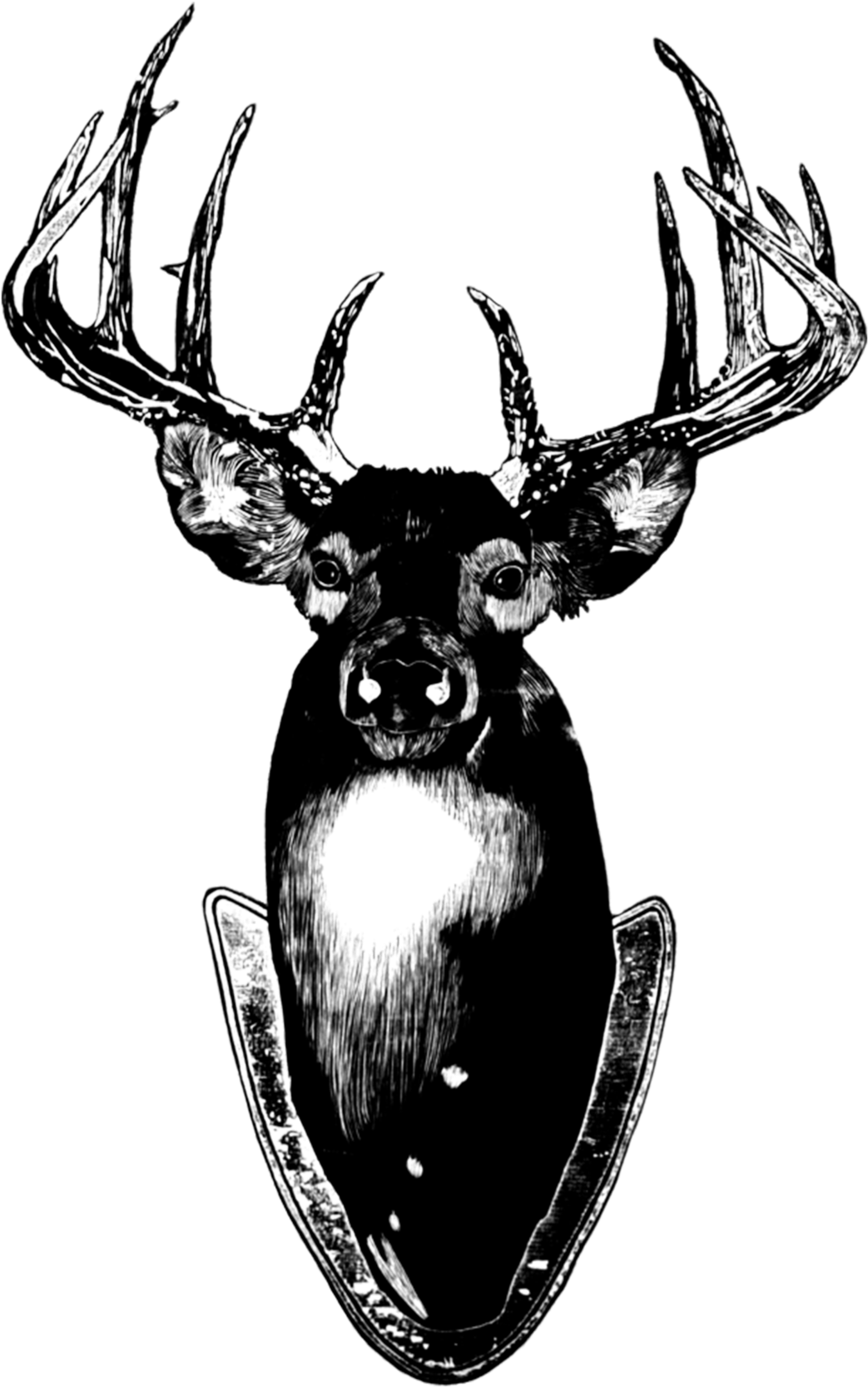 Deer - Tattly Stag Head Card & Temporary Tattoo, Only (2048x2048), Png Download