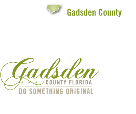 Gadsden Map - Poster: Peragine's Black Map Florida, 32x24in. (614x531), Png Download