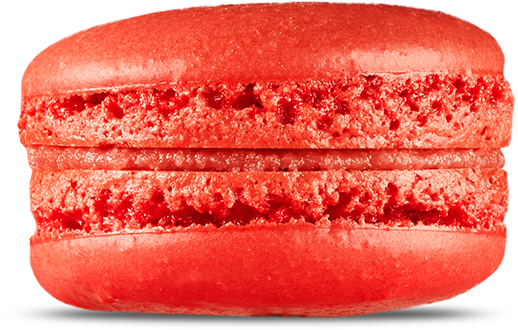Poppy Flower - Poppy (580x356), Png Download