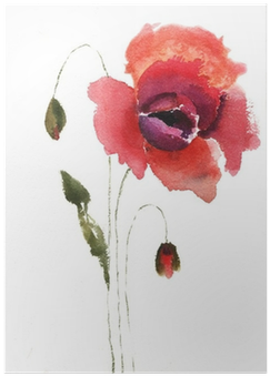 Watercolor Illustration Of Red Poppy Flower Poster - Hobbitholeco 'red Tall Flowers Ii' Multicolored Canvas (400x400), Png Download