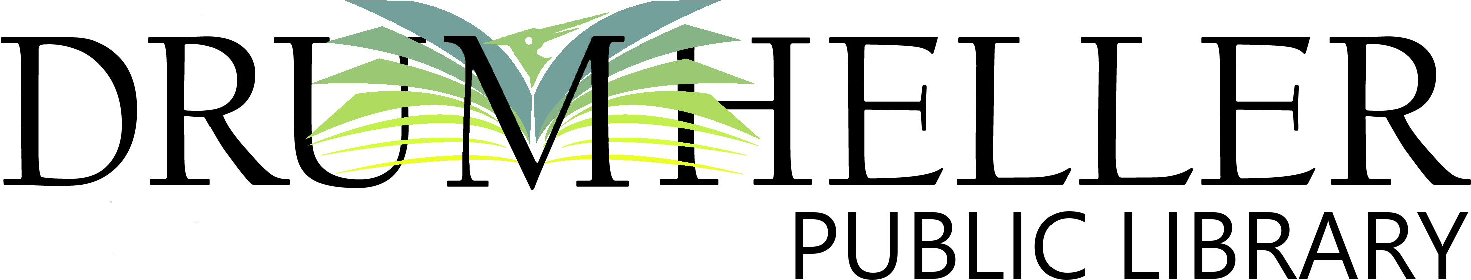 Drumheller Library - Healthcare Centers Of Morris Hospital Logo (2934x624), Png Download