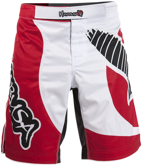 We - Hayabusa Fightwear Chikara Fight Shorts (500x609), Png Download