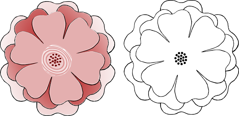 Flower Love Petal Template (800x390), Png Download