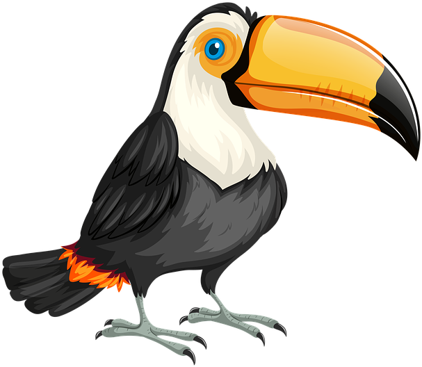Toucan, Bird, Nature, Wild, Wildlife, Animal, Zoo - Bandeira Do Brasil Com Um Tucano (960x639), Png Download