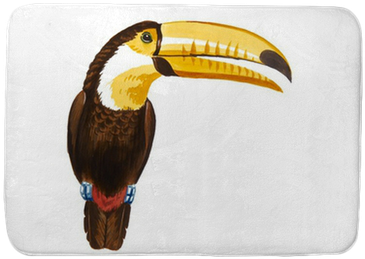 Color Illustration Of Toucan In Watercolor Paintings - Watercolor Painting (400x400), Png Download