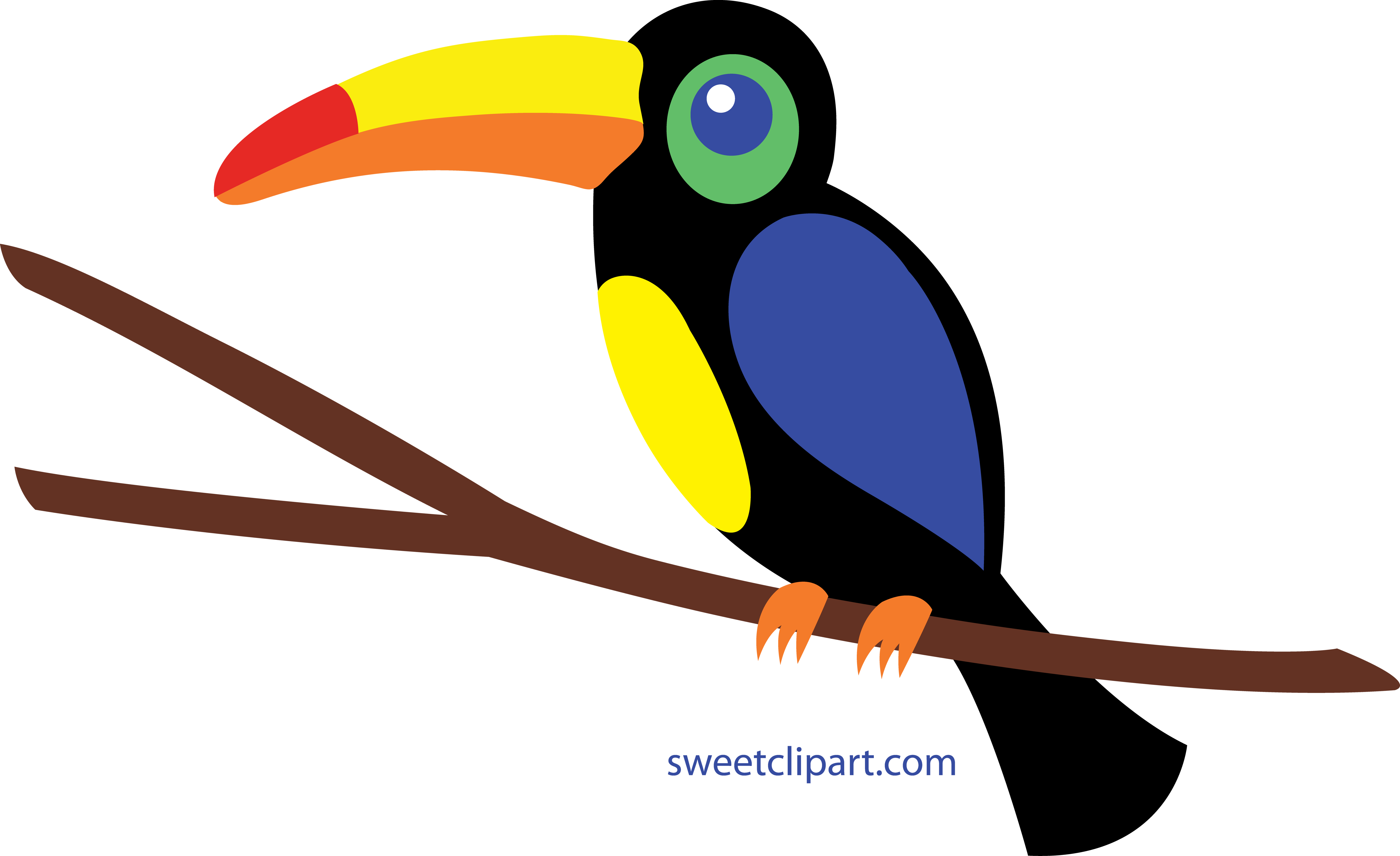 Cute Toucan Clipart 2 By Mary - Toucan Clipart (6000x3669), Png Download