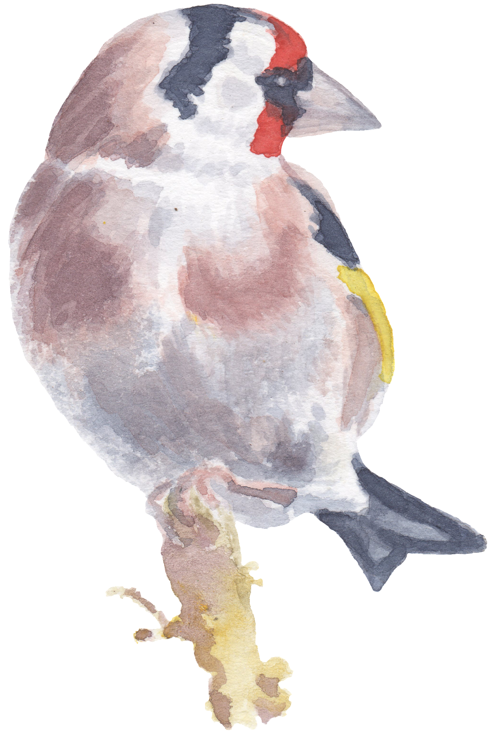Birds Standing On A Tree Trunk Watercolor Transparent - Watercolor Painting (1024x1508), Png Download