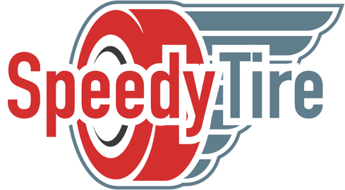 Toucan Advertising Speedy Tire Logo - Nlyte Software Logo (489x270), Png Download