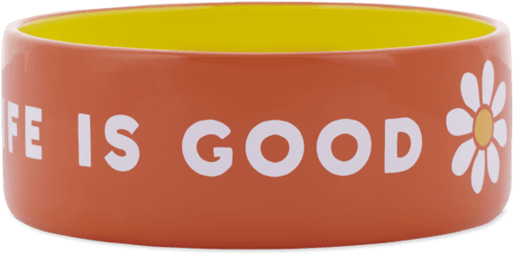 38oz Ceramic Daisy Life Is Good Dog Bowl - Transparent Png Pet Bowl (570x570), Png Download