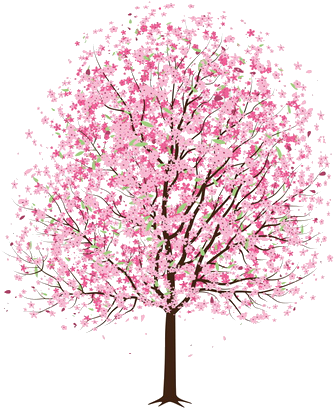 Arbol Rosa Png - Cherry Blossom Trees Transparent (495x495), Png Download