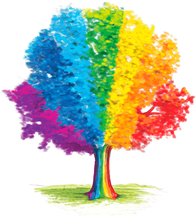 Arbol - Cooperativa Obrera (805x885), Png Download