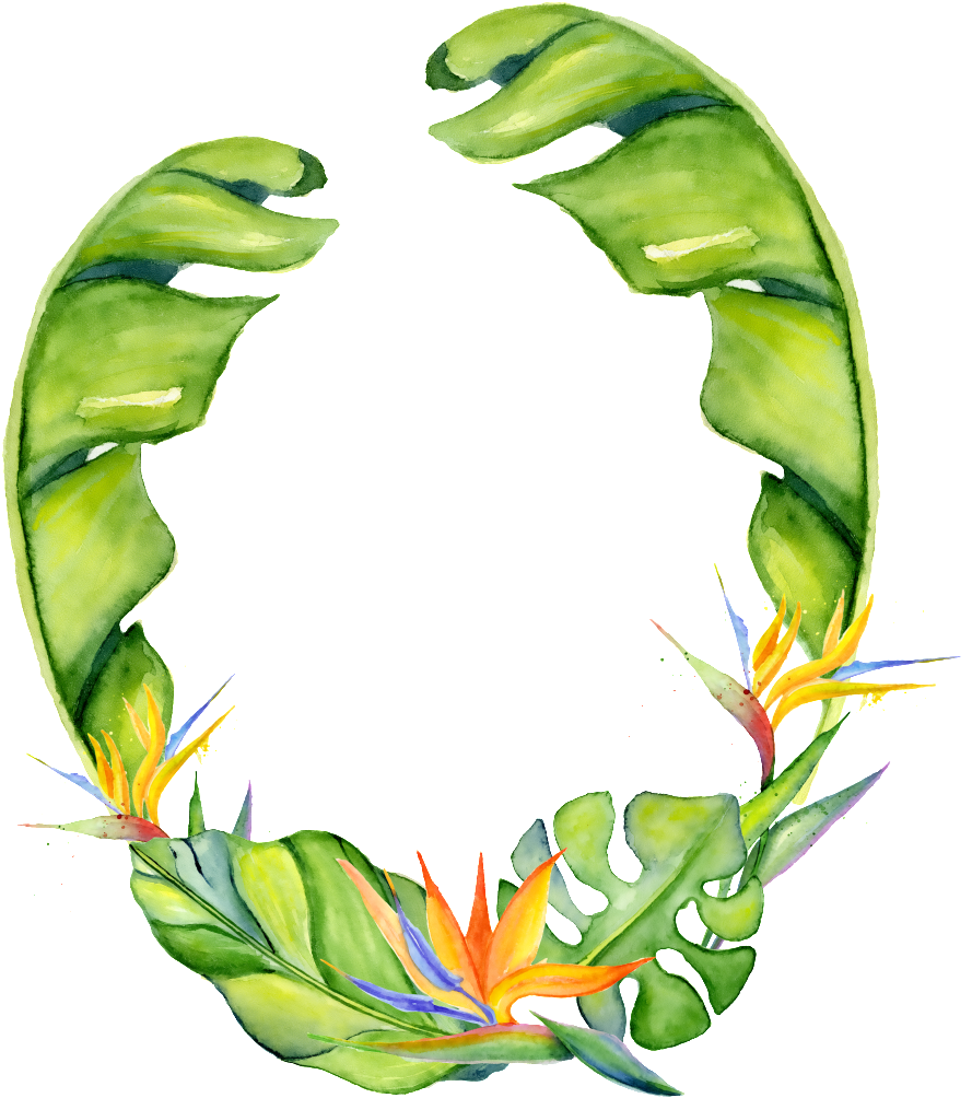 Hand Painted Strelitzia Png Transparent Surrounded - Tropique Aquarelle (1024x1024), Png Download