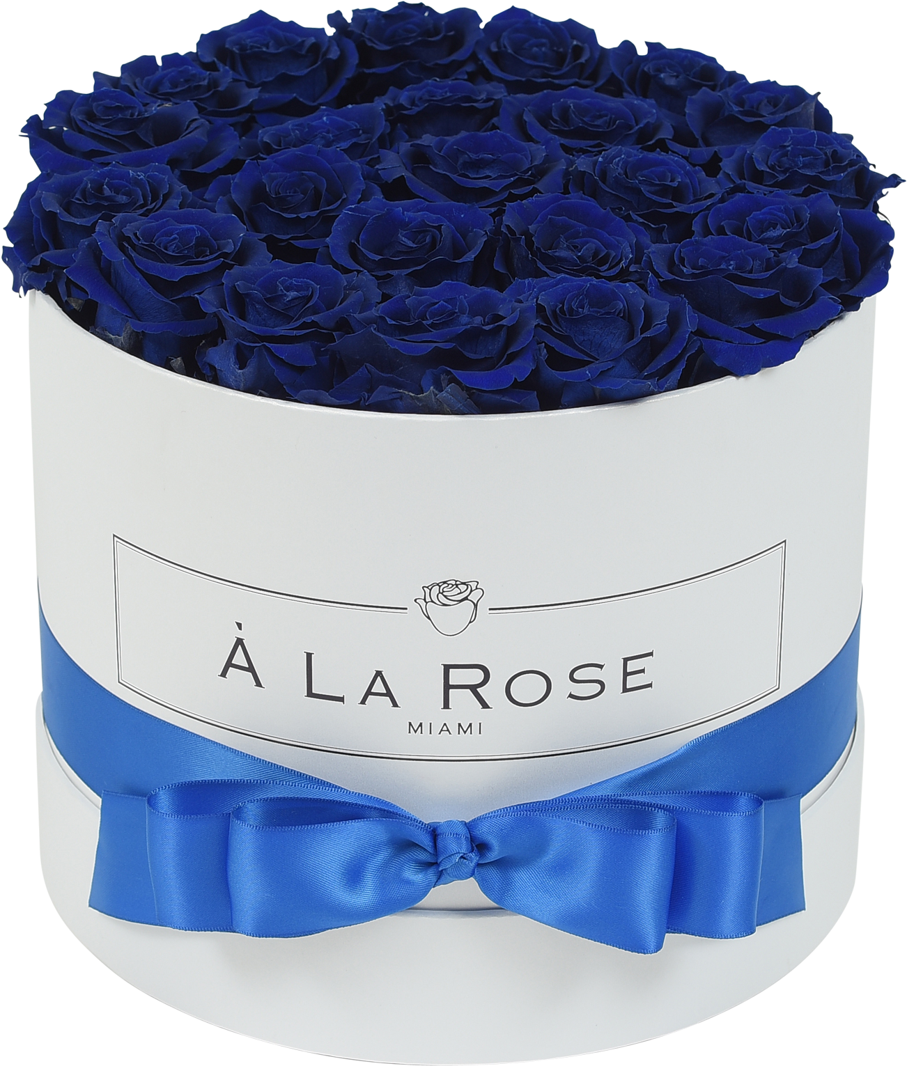 Royal Blue Roses - Rose (2000x2000), Png Download