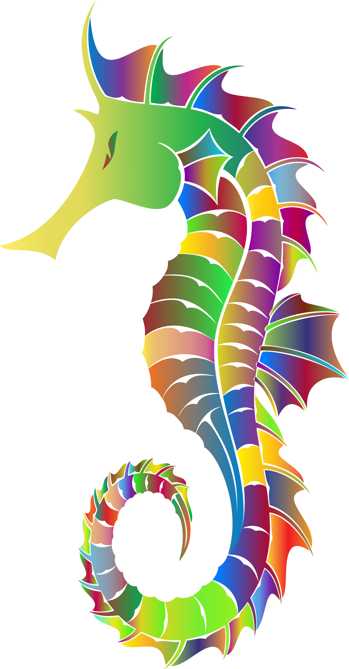 Rainbow Clipart Seahorse - Seahorse Clipart Transparent Background (1212x2324), Png Download