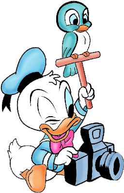 Download Hd Baby Daisy Duck Png Baby Donald Duck Cartoon New Transparent Png Image Nicepng Com