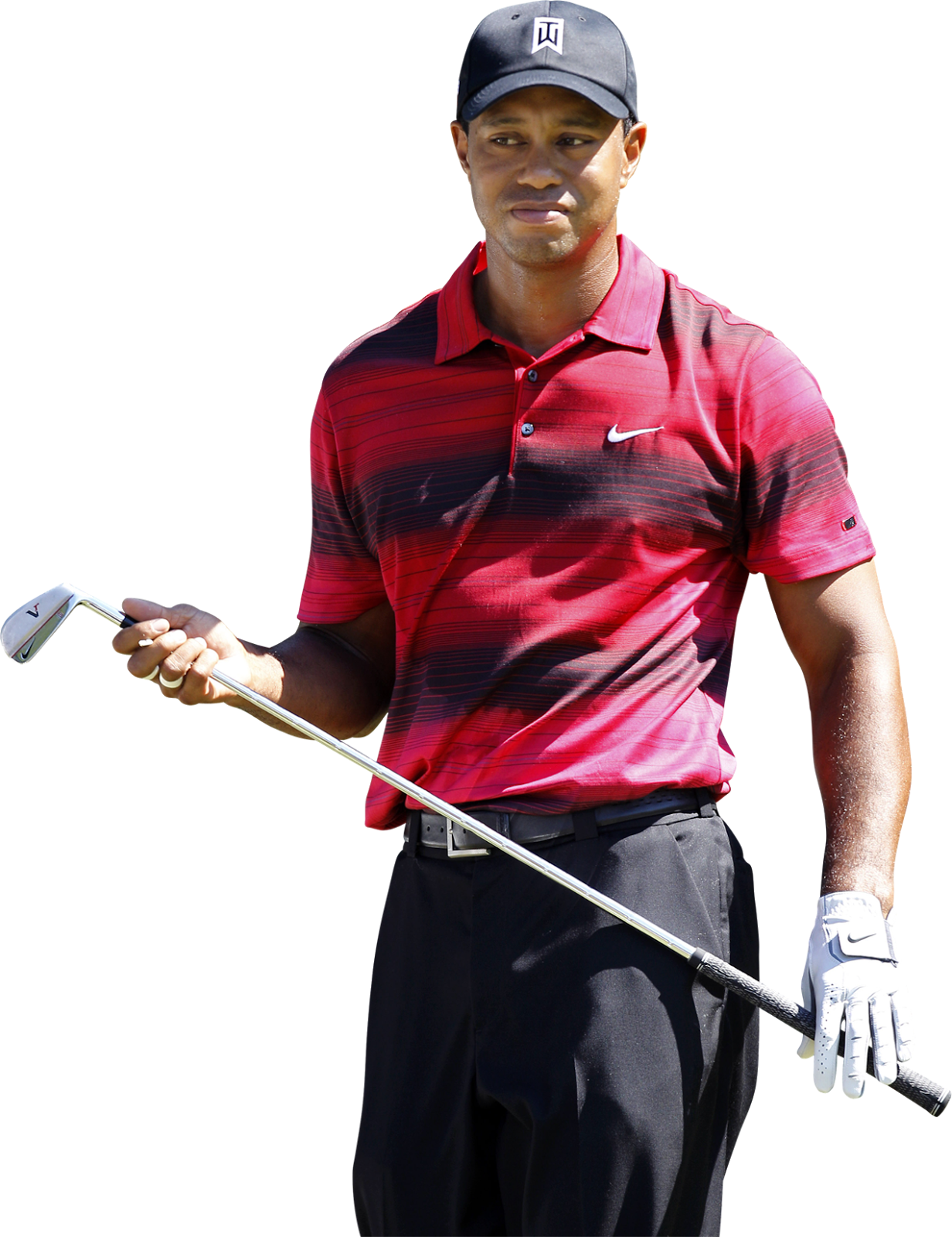 Tiger Woods Png Clipart - Tiger Woods White Background (1232x1600), Png Download