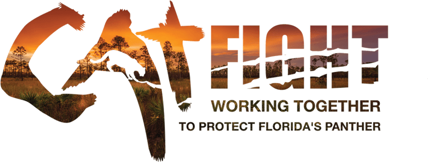 Working Together To Protect Florida's Panther - Florida (1024x585), Png Download