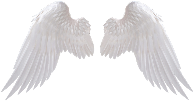 Silver Banner - Angel Wings Png (637x350), Png Download