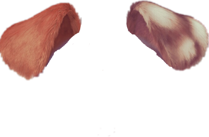 Report Abuse - Dog Ears Png (675x444), Png Download