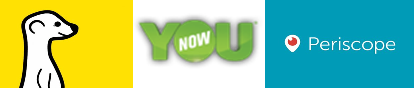 Meeryouperi - Meerkat (1442x309), Png Download