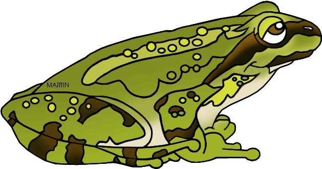 United States Clip Art By Phillip Martin - Pacific Tree Frog Clipart (648x380), Png Download