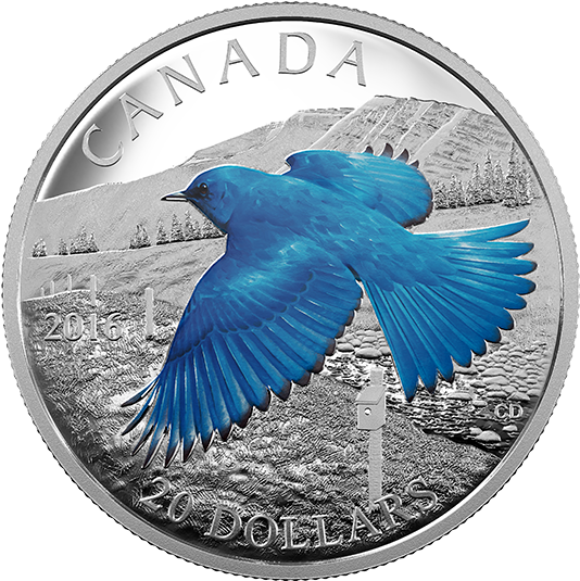 Fine Silver Coloured Coin Colourful Birds Of Canada - Mountain Bluebird (570x570), Png Download
