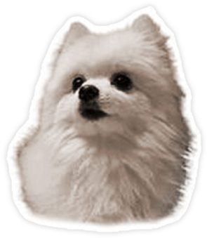 Gabe The Dog Sticker - Gabe The Dog Clear Background (400x400), Png Download