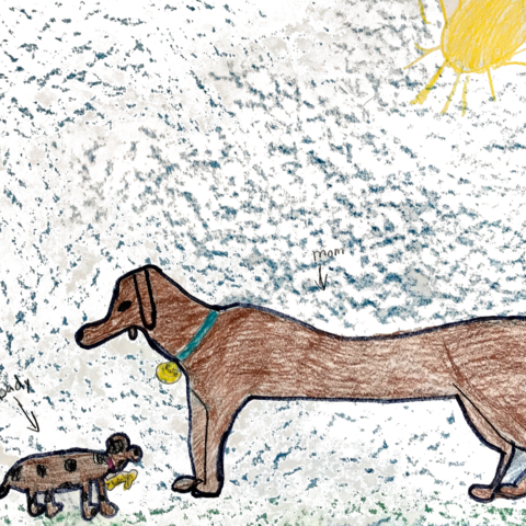 Weiner Dog - Dog (480x480), Png Download