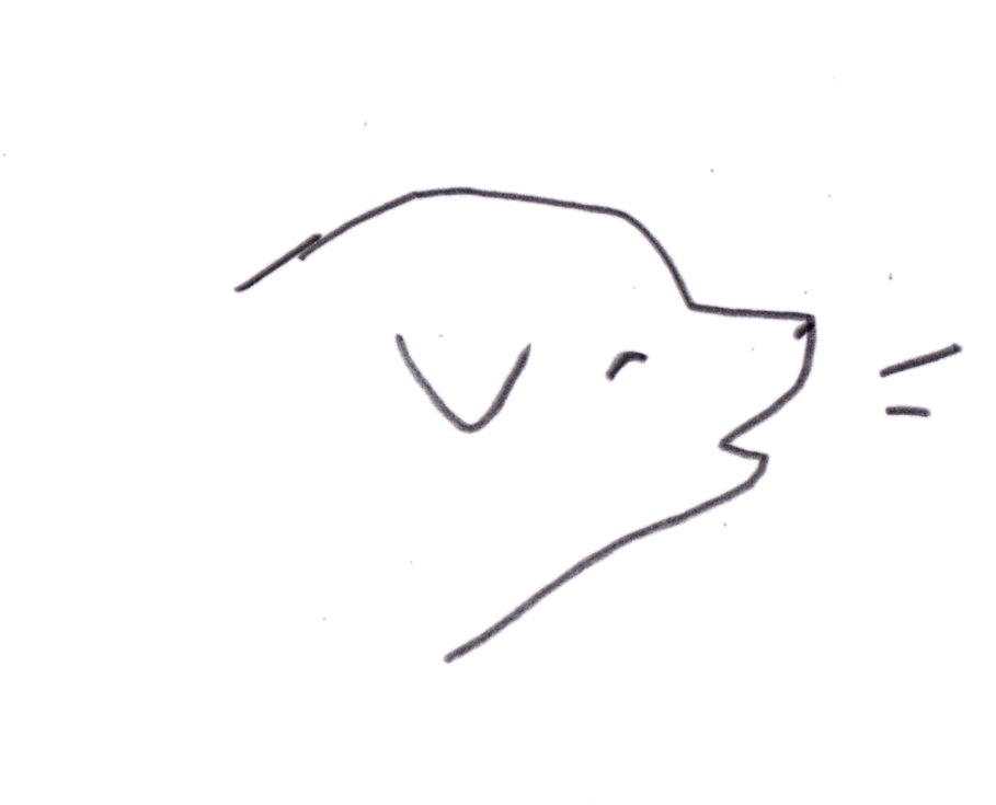 Doggo (1000x896), Png Download