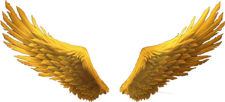 Goldenwings Goldwings Golden Gold Wings Wimg S Hi Go - Gold Wings Png (1024x1024), Png Download