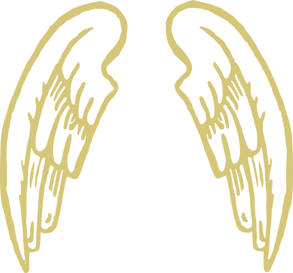 Wings Clipart Golden - Cartoon Wings Png (600x560), Png Download
