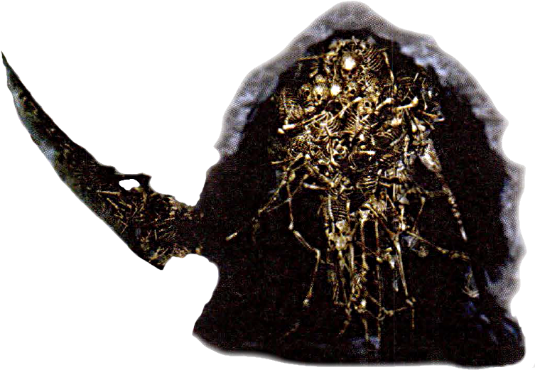 Gravelord Nito - Dark Souls Nito Png (754x542), Png Download