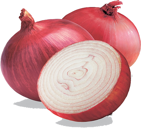 Onion Free Png Image - Transparent Background Onion Png (550x500), Png Download
