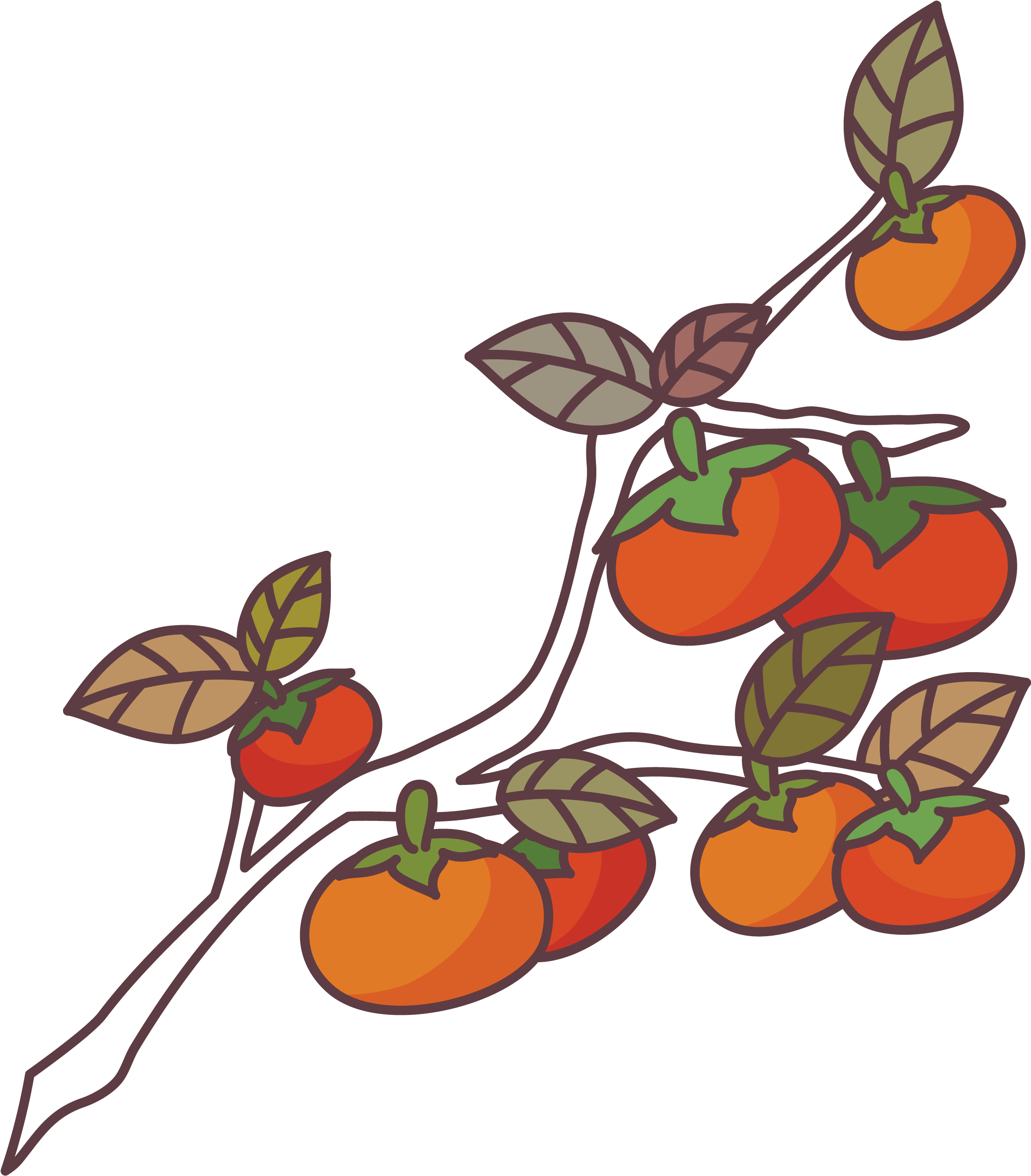 Brush Stroke Cross Png - Persimmon Tree Illustration (3417x2880), Png Download