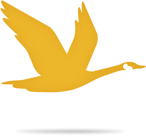 Wawabird (1000x718), Png Download